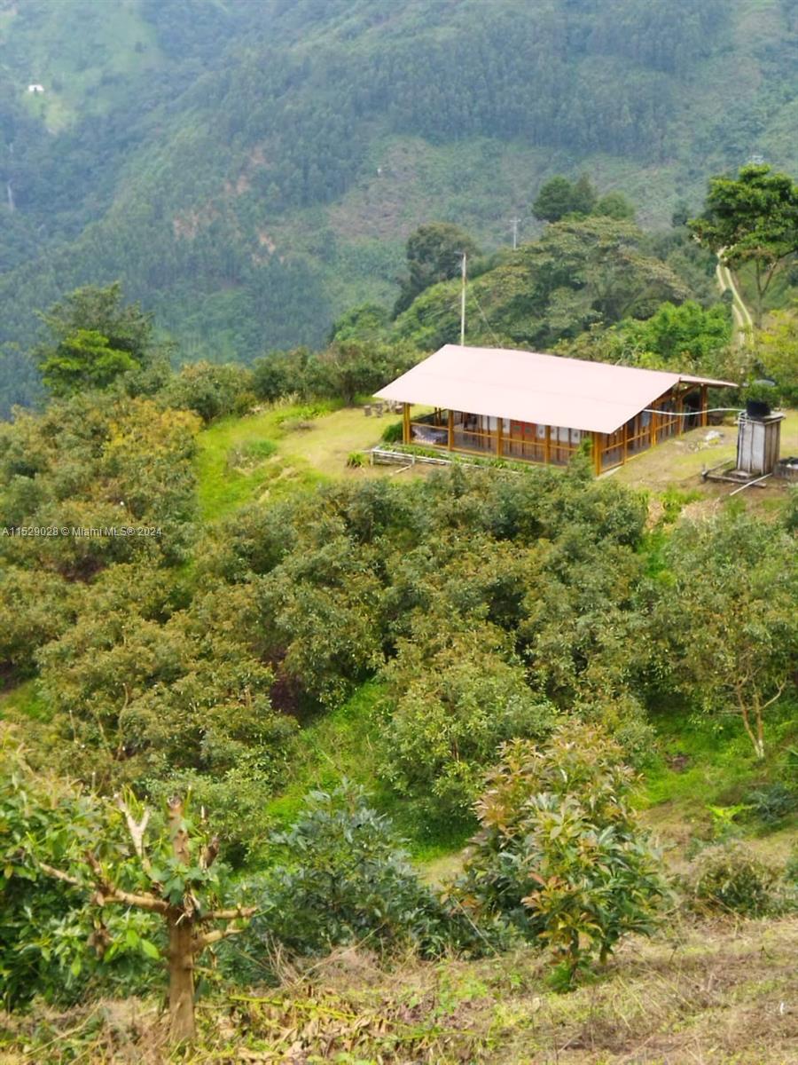Armenia-Quindio, FL — #A11529028